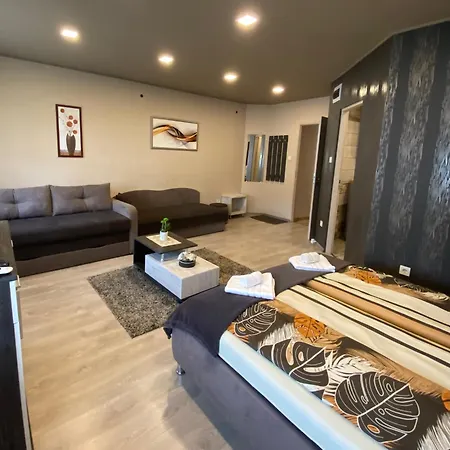 Aranyfuert Apartmanhaz דירה טוקאי