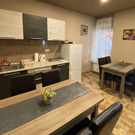 公寓 Aranyfuert Apartmanhaz 托卡伊