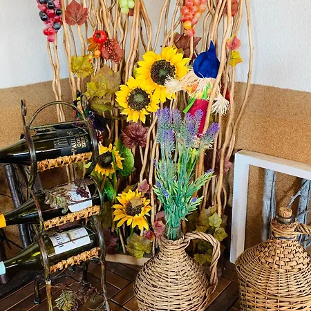 Aranyfuert Apartmanhaz Tokaj