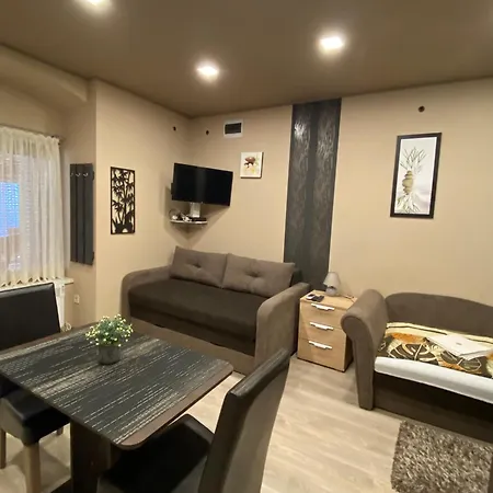 Aranyfuert Apartmanhaz 托卡伊