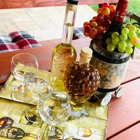 Aranyfuert Apartmanhaz Lejlighed Tokaj