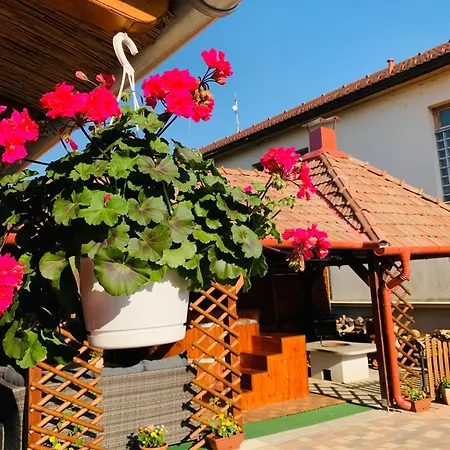 Apartment Aranyfuert Apartmanhaz Tokaj