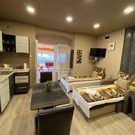 Apartmán Aranyfuert Apartmanhaz Tokaj