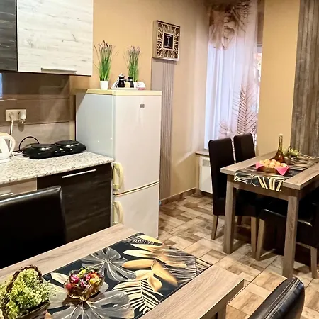 公寓 Aranyfuert Apartmanhaz 托卡伊