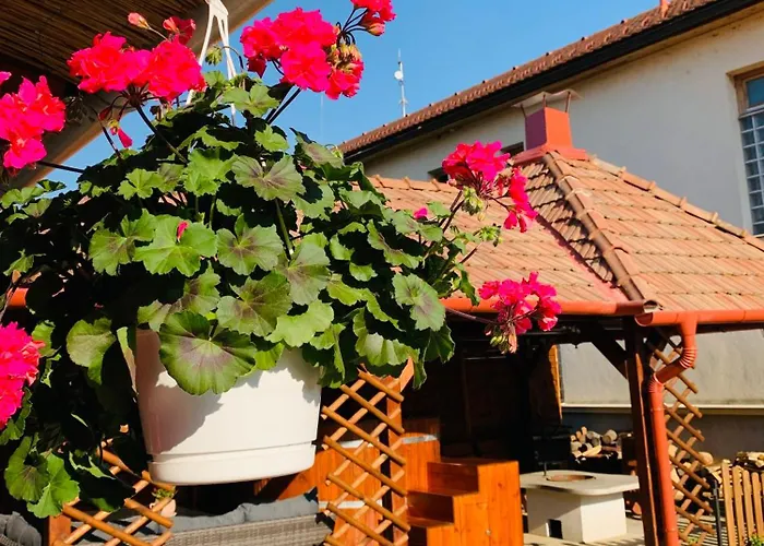 Apartment Aranyfuert Apartmanhaz Tokaj